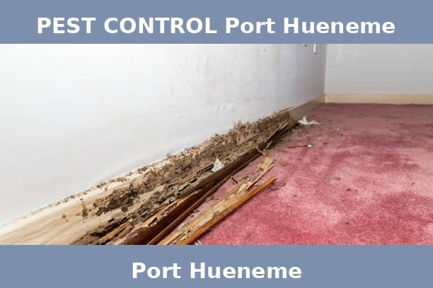 PEST CONTROL Port Hueneme